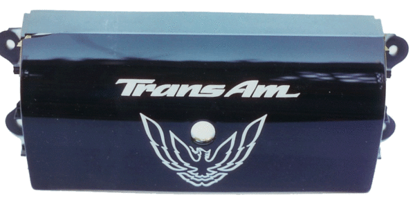 1994 - 2002 Trans Am Rear Panel Decal Set
