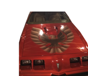 1979-2002 PONTIAC TRANS AM/FIREBIRD HOOD BIRD KIT