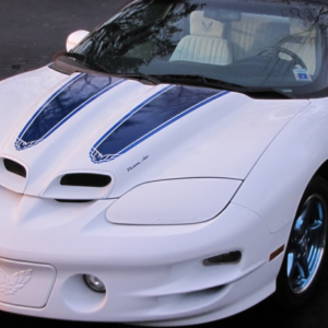 30th Anniversary Pontiac Trans Am Stripe Kit - Stencils And Stripes ...