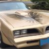 1978 Trans Am Special Edition (Y88 Gold) Complete Stripe Kit
