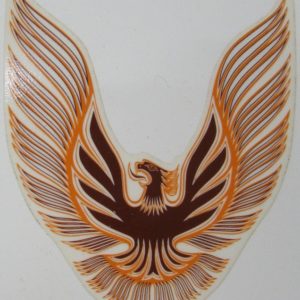 1981 Pontiac Trans Am - Individual Decals - Stencils And Stripes 