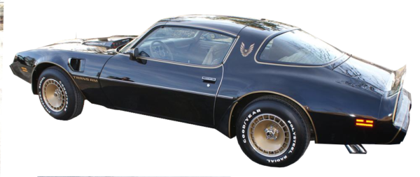 1979-81 Pontiac Trans Am - Special Edition Individual Stripes & Decals