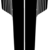2011-14 Dodge Challenger Dual Hood Stripe with Strobe Accent Stripe